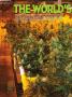 Page: - 66 | High Times