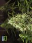 Page: - 72 | High Times