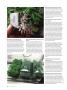 Page: - 82 | High Times