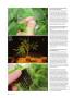 Page: - 84 | High Times