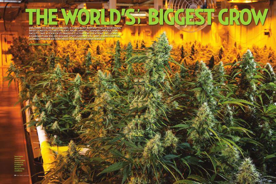 THE WORLD'S BIGGEST GROW