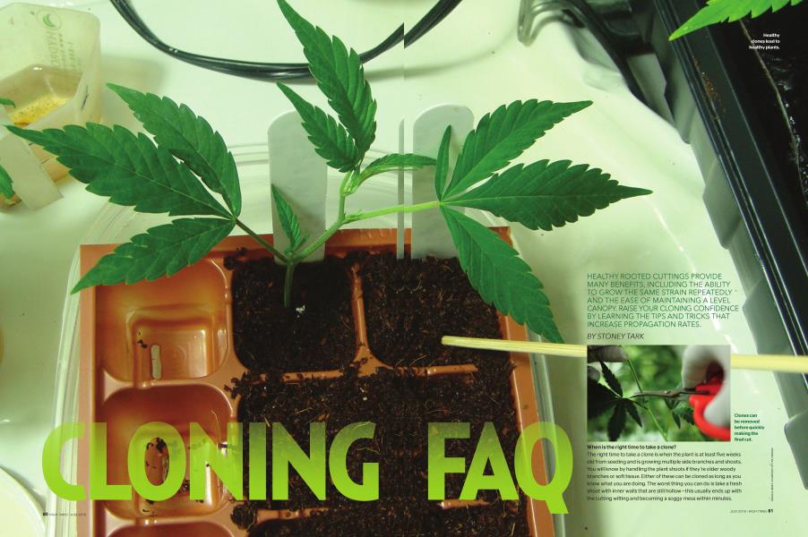 CLONING FAQ