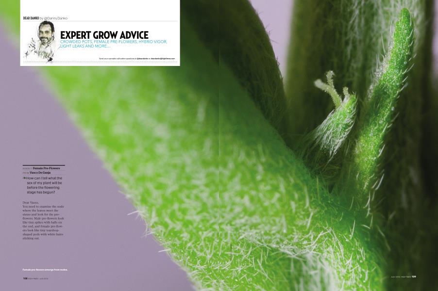 EXPERT GROW ADVICE