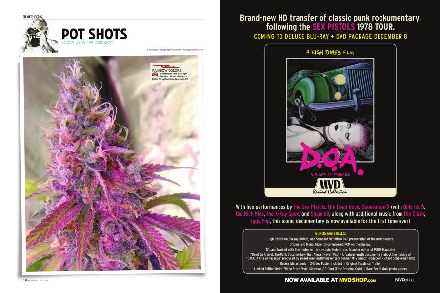 POT SHOTS High Times JULY 2018