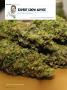 Page: - 108 | High Times