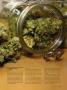 Page: - 109 | High Times