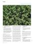 Page: - 110 | High Times