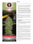 Page: - 112 | High Times