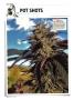 Page: - 130 | High Times