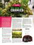 Page: - 141 | High Times