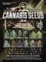 Page: - 31 | High Times