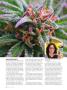 Page: - 68 | High Times