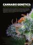 Page: - 80 | High Times