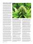 Page: - 82 | High Times