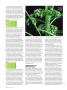 Page: - 84 | High Times