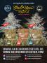 Page: - 9 | High Times
