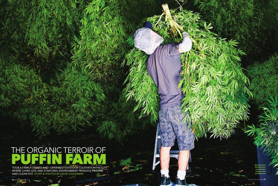 THE ORGANIC TERROIR OF PUFFIN FARM