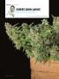Page: - 108 | High Times