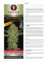Page: - 112 | High Times