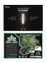 Page: - 113 | High Times