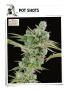 Page: - 130 | High Times