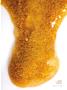 Page: - 45 | High Times