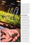 Page: - 69 | High Times