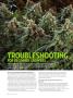 Page: - 90 | High Times