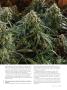 Page: - 91 | High Times