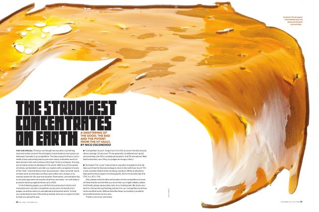 THE STRONGEST CONCENTRATES ON EARTH