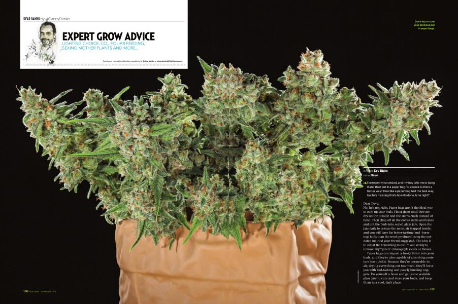 EXPERT GROW ADVICE