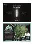 Page: - 113 | High Times
