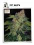 Page: - 128 | High Times