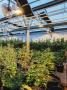 Page: - 21 | High Times
