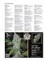 Page: - 34 | High Times