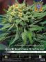 Page: - 35 | High Times