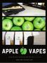 Page: - 41 | High Times