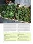 Page: - 60 | High Times