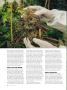 Page: - 70 | High Times