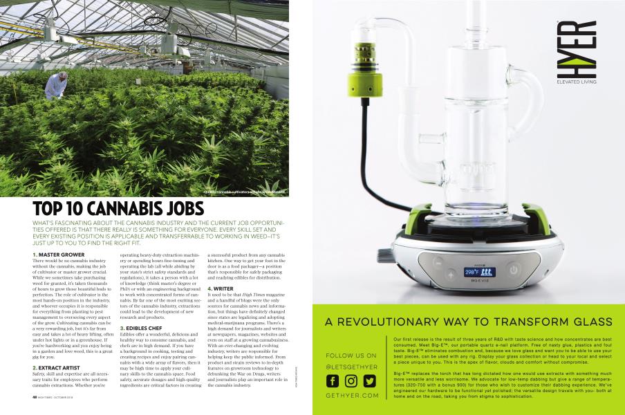 TOP 10 CANNABIS JOBS