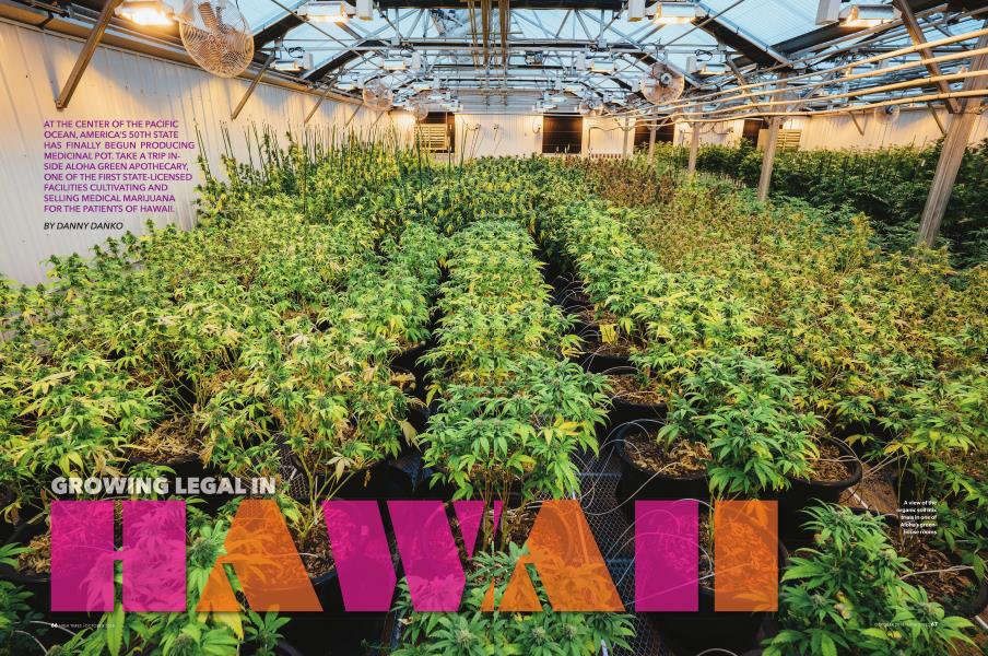 GROWING LEGAL IN HAWAII