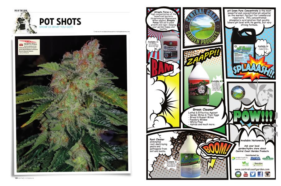 POT SHOTS High Times OCTOBER 2018