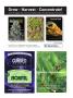 Page: - 115 | High Times