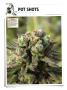Page: - 122 | High Times