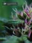 Page: - 20 | High Times