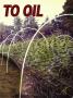 Page: - 65 | High Times
