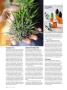 Page: - 74 | High Times