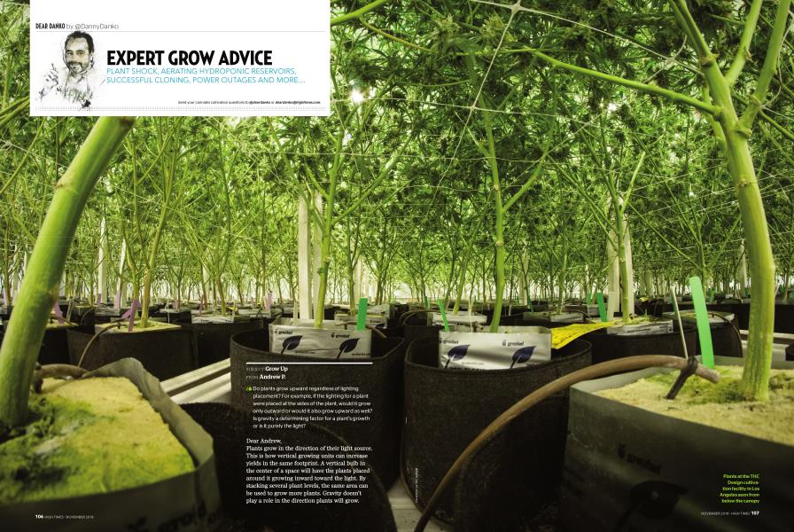 EXPERT GROW ADVICE