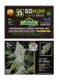 Page: - 101 | High Times