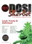 Page: - 11 | High Times